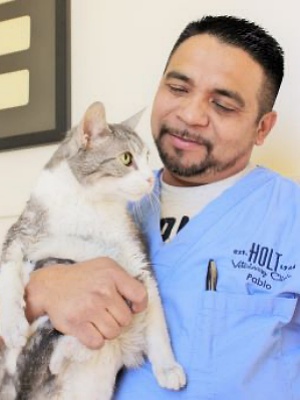 Pablo - Certified Veterinary Assistant, CVA